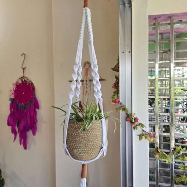 Plant hanger