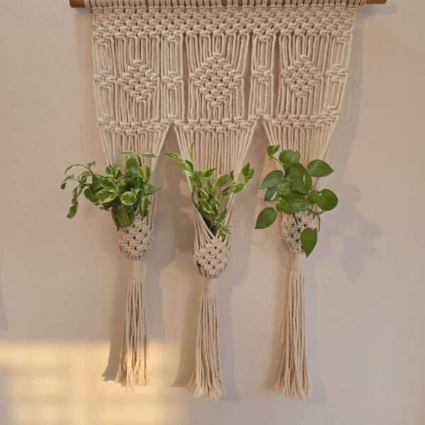 Macrame plant hanger