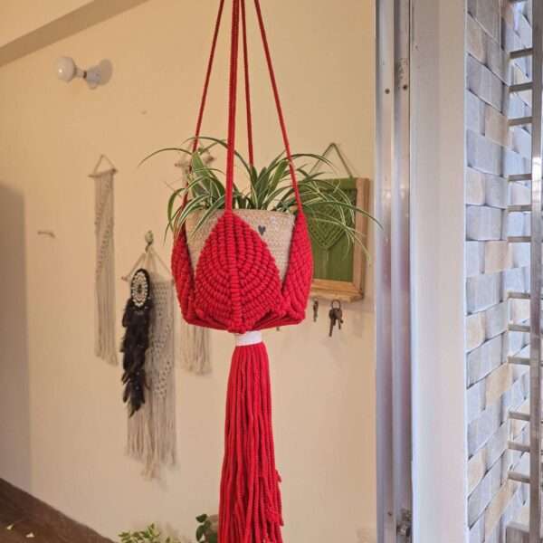 Macrame Plant hanger