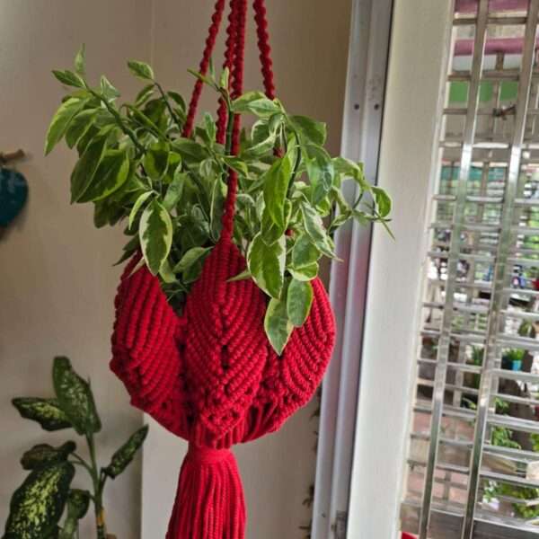 Plant hanger