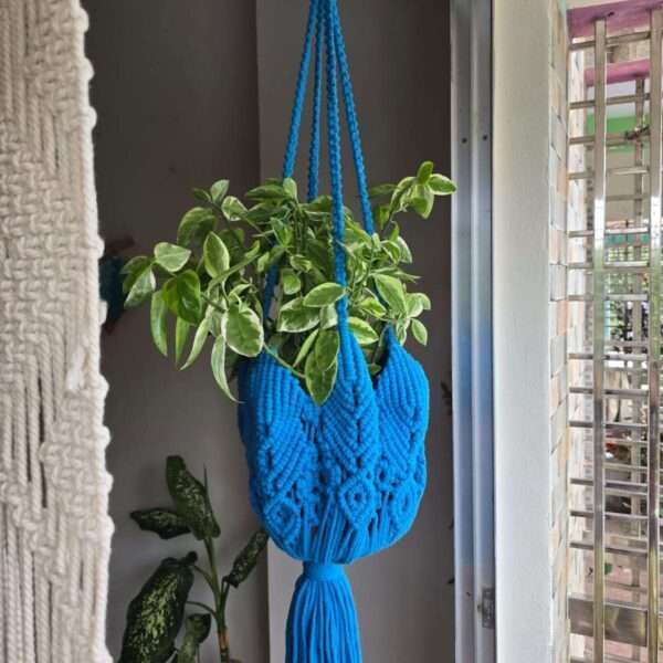 Plant Hanger