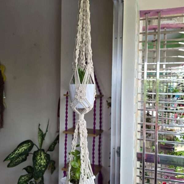 Plant hanger