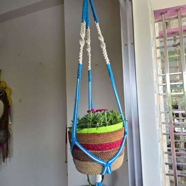 Plant hanger