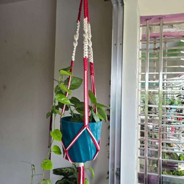 Plant hanger