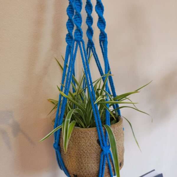 Macrame plant hanger