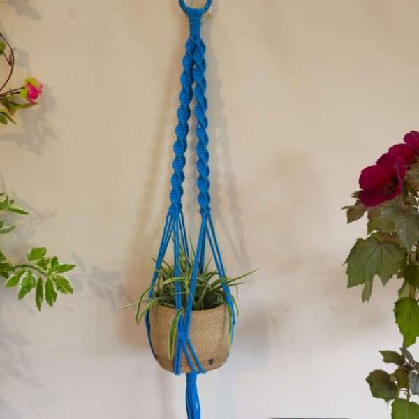 Choturvuz Simple Plant Hanger