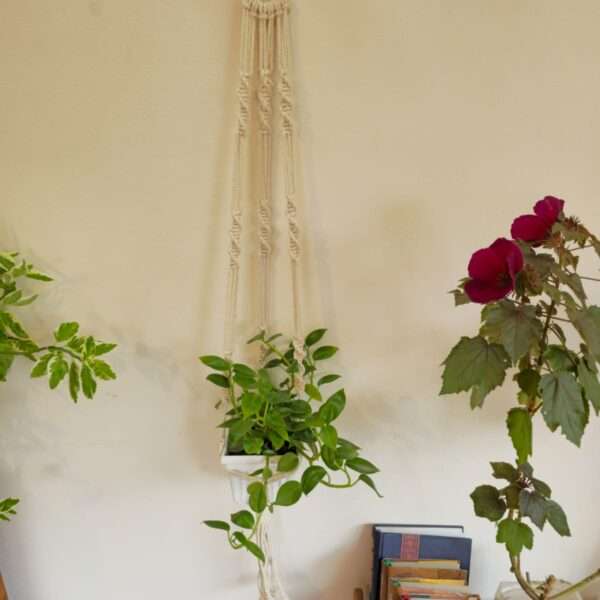Choturvuz Simple Plant Hanger
