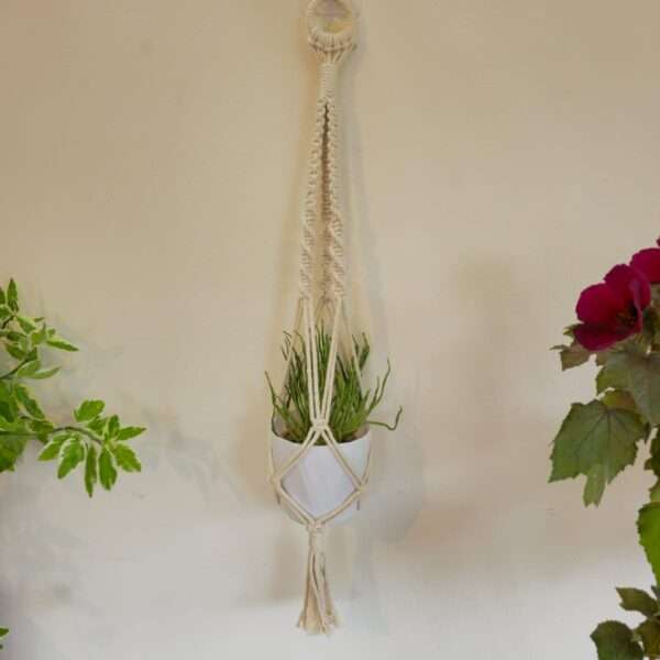 Macrame plant hanger
