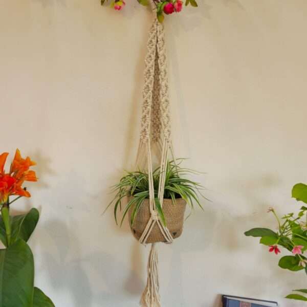 Macrame plant hanger