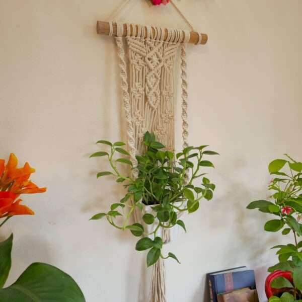 Choturvuz Gorgeous Plant Hanger
