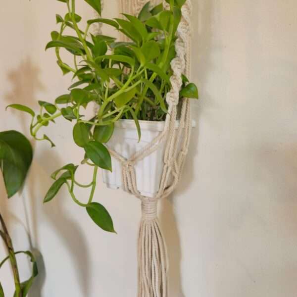 Macrame plant hanger