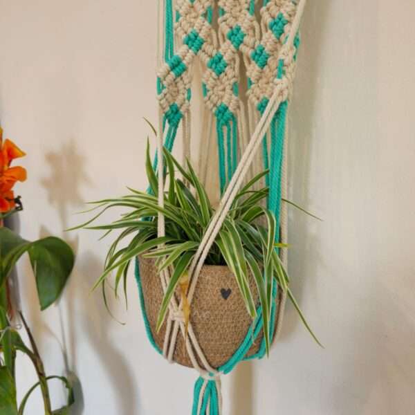 Macrame plant hanger